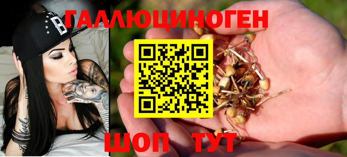 Галлюциногенные грибы GOLDEN TEACHER  Вход с VPN  Кыштым 